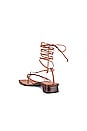 view 3 of 5 Allegra Lace up Sandals in Tan