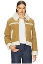 view 1 of 5 Betty Shearling Jacket in Cumin