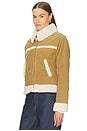 view 3 of 5 Betty Shearling Jacket in Cumin
