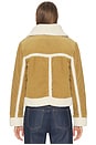 view 4 of 5 Betty Shearling Jacket in Cumin