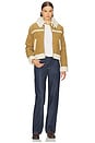view 5 of 5 Betty Shearling Jacket in Cumin