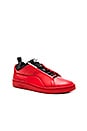 view 2 of 6 MCQ Brace Lo in High Risk Red & Puma Black & High Risk Red