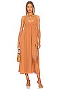 view 1 of 3 Emiko Dress in Russet