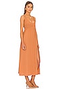 view 2 of 3 Emiko Dress in Russet