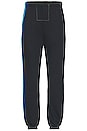 view 4 of 6 5 Stripe Sweatpant in Charcoal & Blue