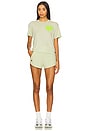 view 5 of 6 Essential Club Short in Lime Cream