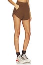 view 2 of 6 Essential Club Short in Chocolate