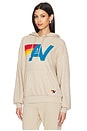 view 2 of 4 Logo Pullover Relaxed Hoodie in Sand
