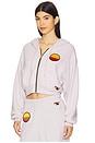 view 2 of 5 Sunset Patch Cropped Zip Relaxed Hoodie in Dove Grey