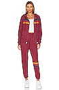 view 6 of 6 5 Stripe Hoodie in Plum