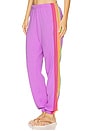 view 1 of 6 5 Stripe Sweatpant in Neon Purple & Neon