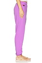 view 3 of 6 5 Stripe Sweatpant in Neon Purple & Neon