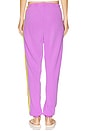view 4 of 6 5 Stripe Sweatpant in Neon Purple & Neon