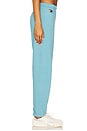 view 3 of 6 5 Stripe Sweatpant in Aquamarine & Aqua