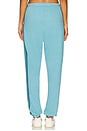 view 4 of 6 5 Stripe Sweatpant in Aquamarine & Aqua