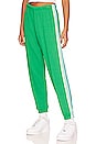view 1 of 4 5 STRIPE 스웻팬츠 in Kelly Green & Blue