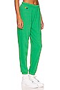 view 2 of 4 5 STRIPE 스웻팬츠 in Kelly Green & Blue