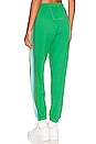 view 3 of 4 5 STRIPE 스웻팬츠 in Kelly Green & Blue