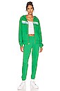 view 4 of 4 5 STRIPE 스웻팬츠 in Kelly Green & Blue