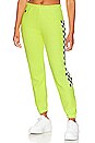 view 1 of 5 Check Leg Sweatpant in Neon Yellow