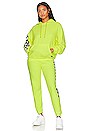 view 5 of 5 Check Leg Sweatpant in Neon Yellow