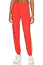 view 1 of 6 СПОРТИВНЫЕ БРЮКИ 5 STRIPE in Tangerine & Yellow Purple