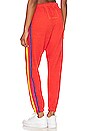 view 4 of 6 СПОРТИВНЫЕ БРЮКИ 5 STRIPE in Tangerine & Yellow Purple