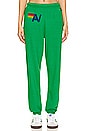 view 1 of 5 Logo Sweatpant in Kelly Green