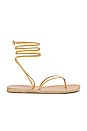 view 1 of 5 Celia Sandal in Natural