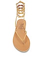 view 4 of 5 Celia Sandal in Natural