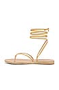 view 5 of 5 Celia Sandal in Natural