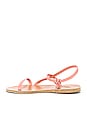 view 5 of 5 Elpiniki Sandal in Pink