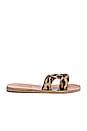 view 1 of 5 Desmos Sandal in Pony Leopard