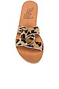 view 4 of 5 Desmos Sandal in Pony Leopard