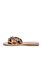 view 5 of 5 Desmos Sandal in Pony Leopard