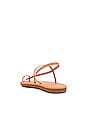 view 3 of 5 Euterpe Sandal in Natural
