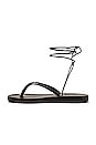 view 5 of 5 Plage Lace Up Sandal in Black