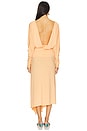 view 5 of 5 Wisteria Midi Dress in Peach