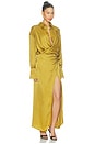 view 2 of 3 Paloma Shirt Maxi Dress in Amber
