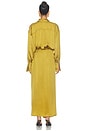 view 4 of 3 Paloma Shirt Maxi Dress in Amber