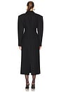 view 3 of 3 Ottavia Coat in Black