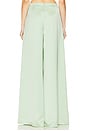 view 4 of 6 Tara Pant in Mint