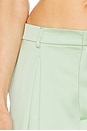 view 6 of 6 Tara Pant in Mint