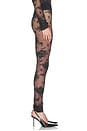 view 3 of 6 Zillah Lace Leggings in Black