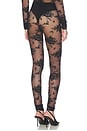 view 4 of 6 Zillah Lace Leggings in Black