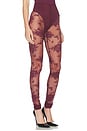 view 2 of 6 Zillah Lace Leggings in Cabernet