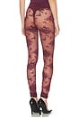 view 4 of 6 Zillah Lace Leggings in Cabernet