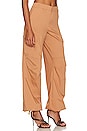 view 3 of 5 Lizzo Cargo Pants in Caramel