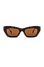 view 1 of 3 Sonoma Sunglasses in Brown