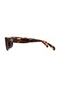 view 3 of 3 Cannes Sunglasses in Dark Tortoise